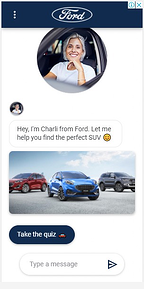 display ad ford