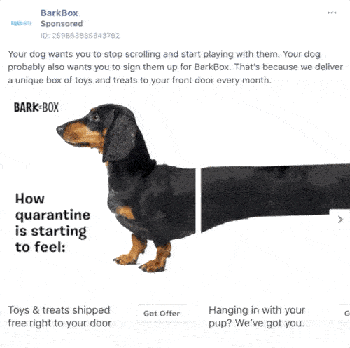 Bark Box Ad