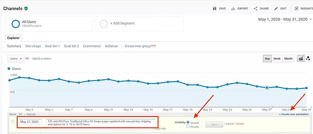 Google Analytics Traffic Annotation Graph