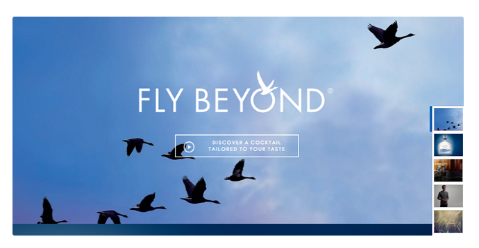 Great CTA Example From Grey Goose