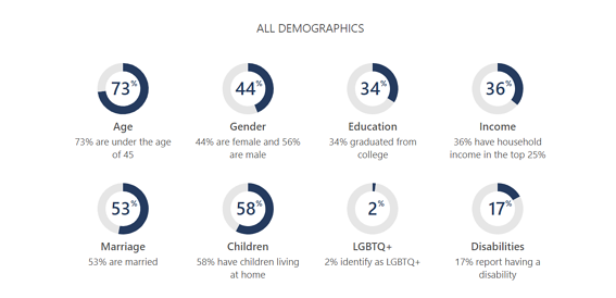 Bing Ads Demographics