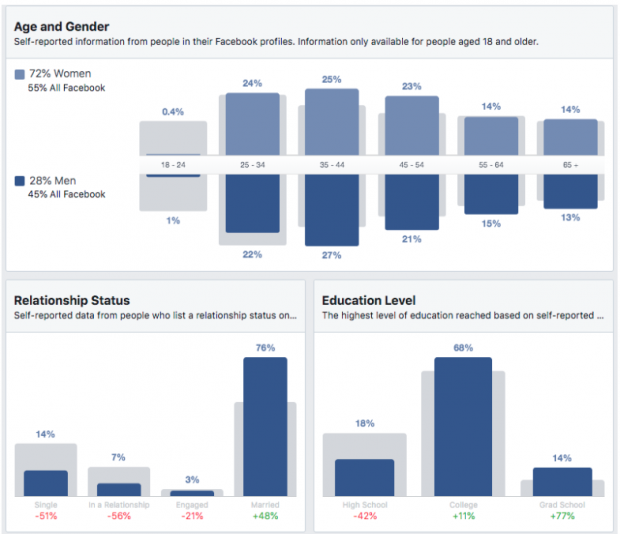 Facebook Audience Report