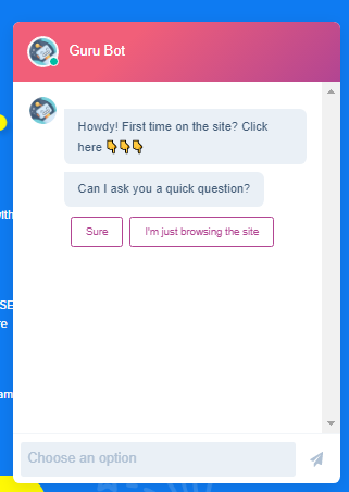 The OMG Guru Chatbot