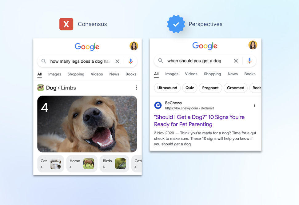 The image shows two Google search results. One for how many legs does a dog have with an answer 4. The other for when should you get a dog, displaying a result for blog advice on pet parenting. Both sections show different search features.