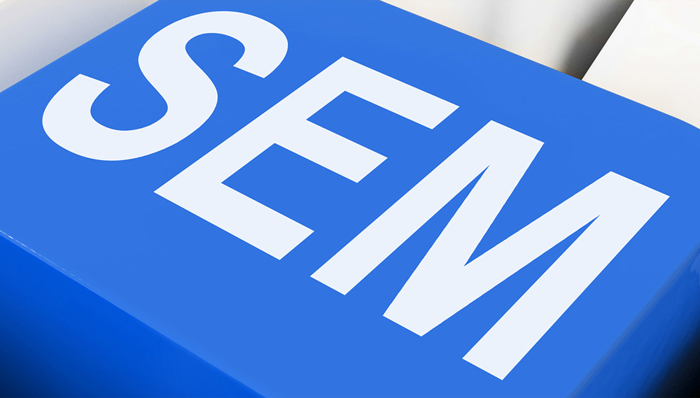 SEM Online Paid Ads By OMG