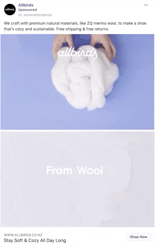 Video Ad