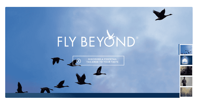 Great CTA Example From Grey Goose
