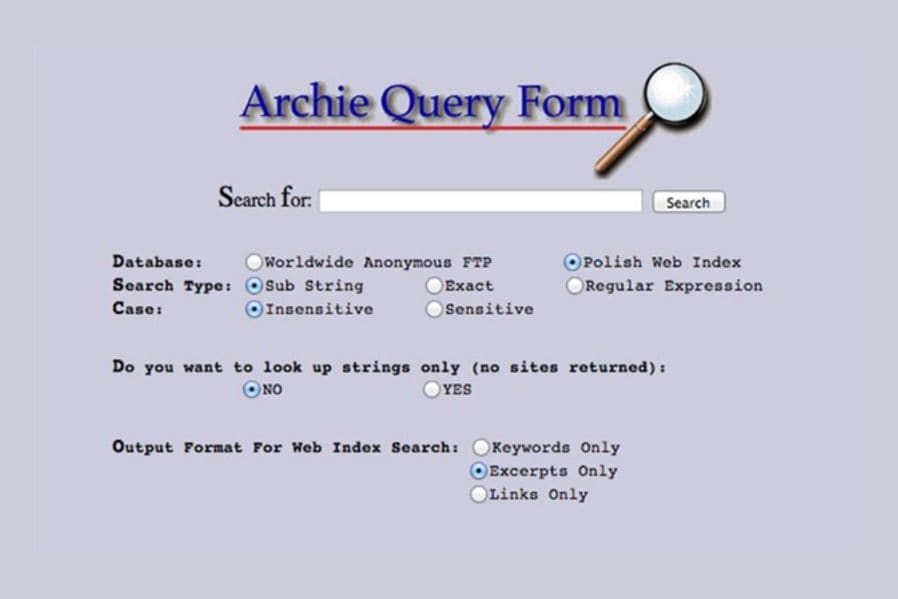 Archie Query Form The First Search Engine by OMG Australia
