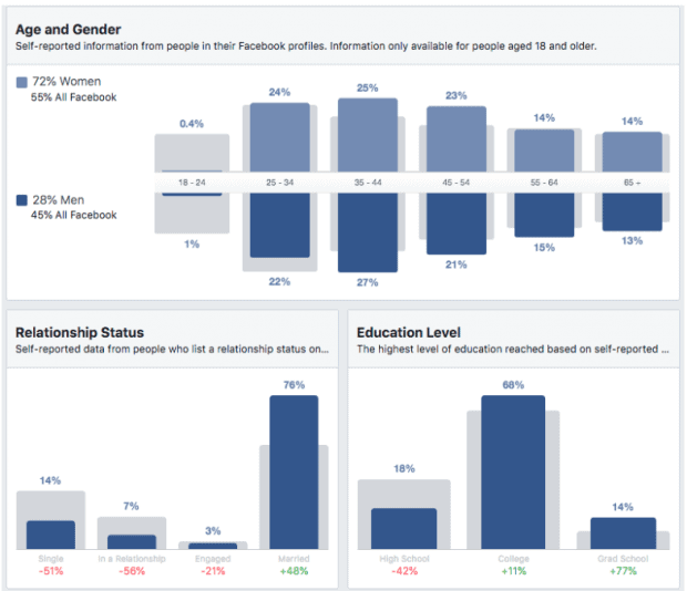 Facebook Audience Report