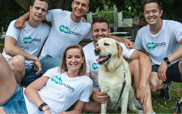 How Mad Paws Generated 100% More Organic Traffic