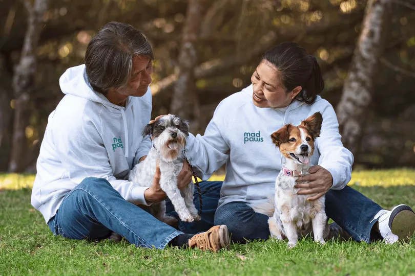 Mad Paws pet sitting and pet services SEO case study by Online Marketing Gurus