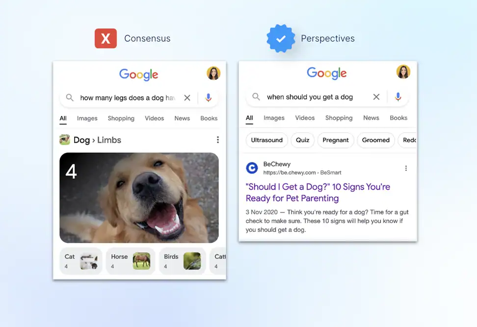The image shows two Google search results. One for how many legs does a dog have with an answer 4. The other for when should you get a dog, displaying a result for blog advice on pet parenting. Both sections show different search features.