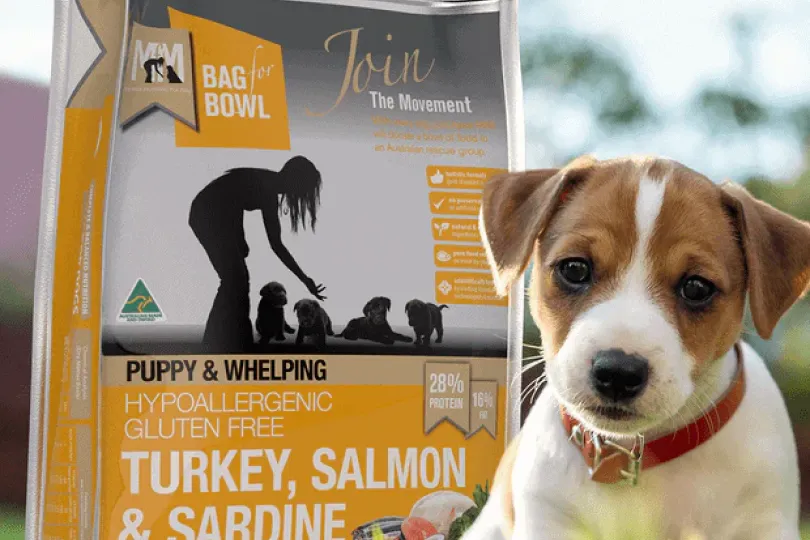 Meals For Mutts premium dog food range SEO case study by Online Marketing Gurus