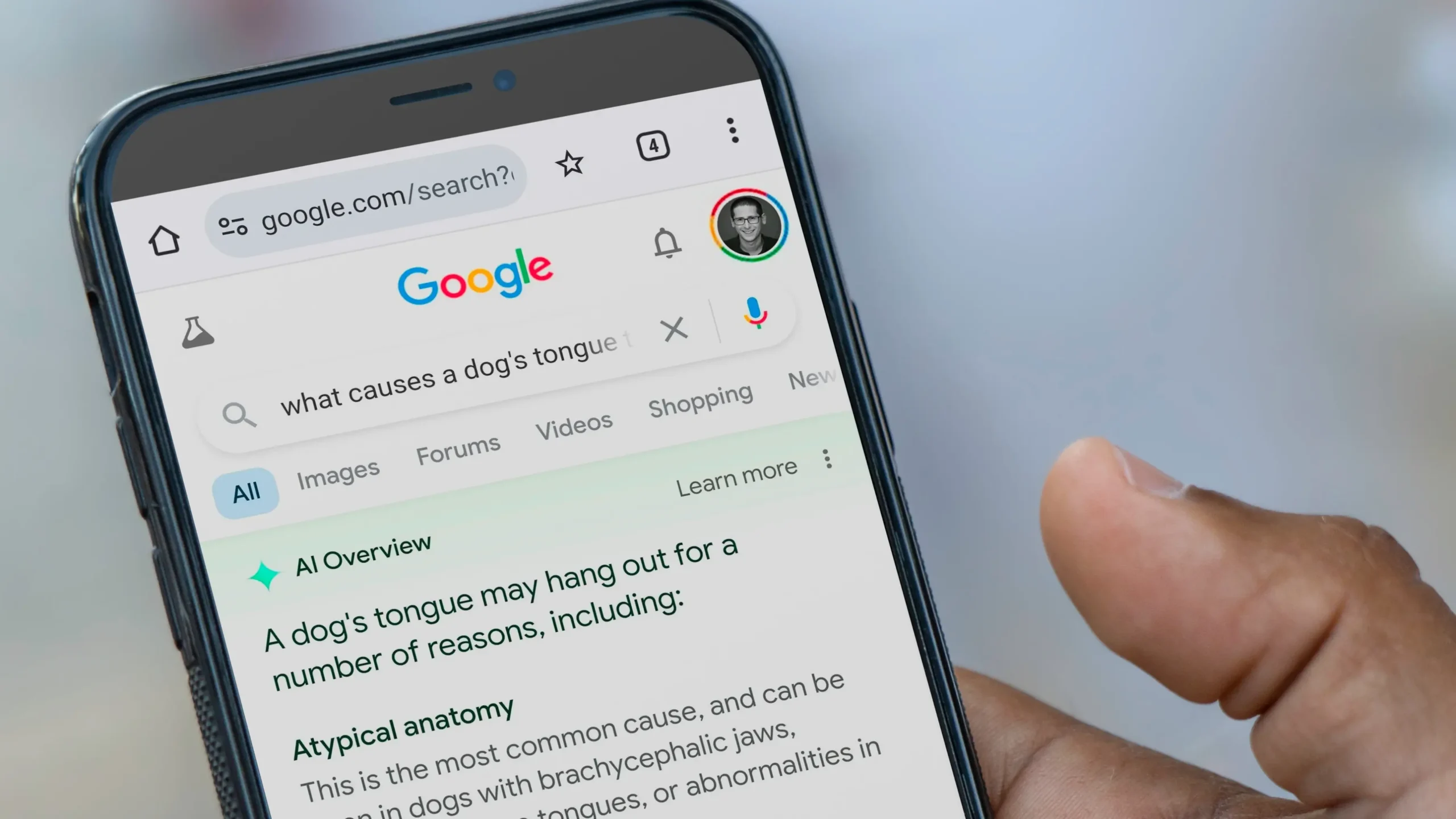 Four Google Updates This Week: AI Labels, a Shopify Deadline, a Travel Beta, and a New AI Overviews Feature