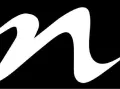 NSI nails logo